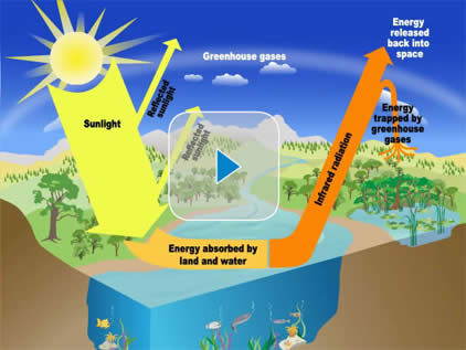 The Greenhouse Effect 