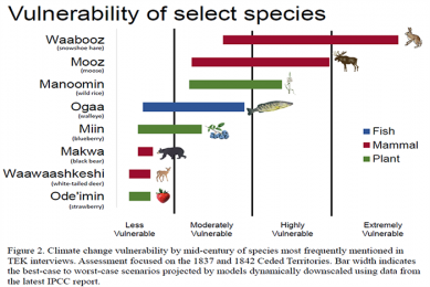 GLIFWC Climate Vulnerability Assessment