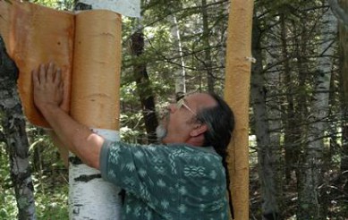 Investigate the Uncertain Future of Wiigwaasi-mitig (the paper birch tree)