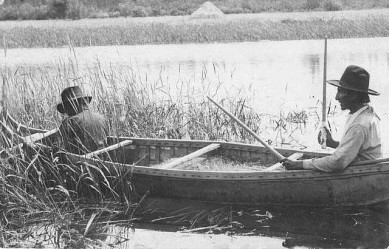 Historic perspectives on Wisconsin Native American wild ricing